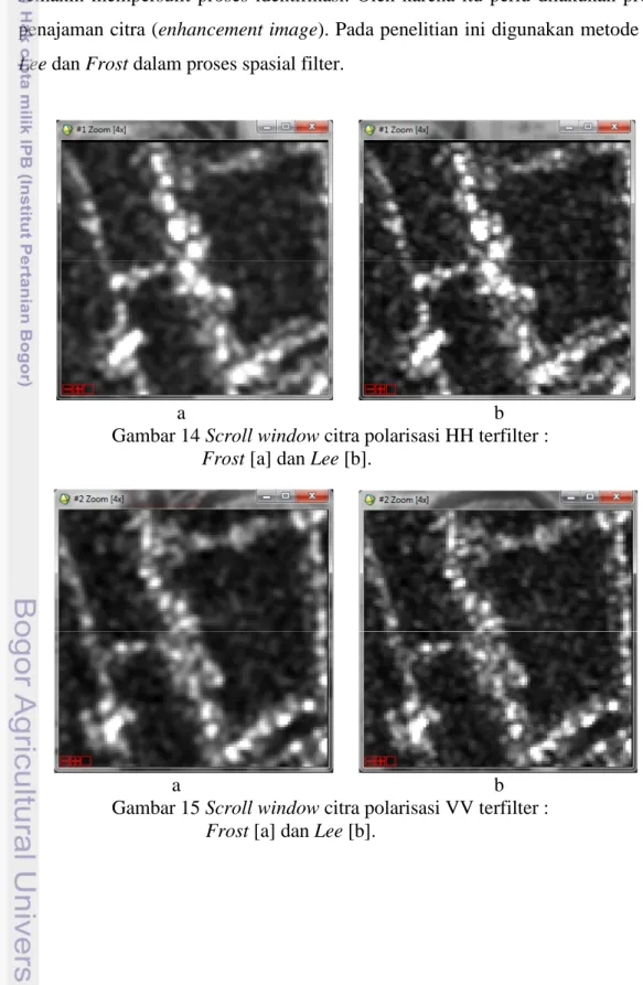Gambar 14 Scroll window citra polarisasi HH terfilter : Frost [a] dan Lee [b].