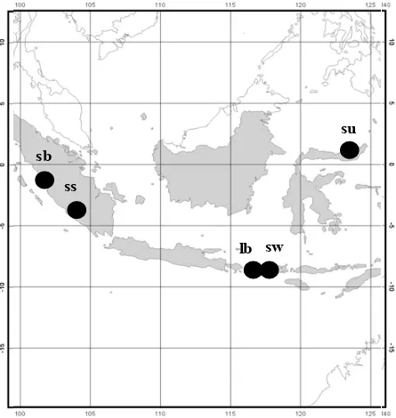 Gambar 1. Sebaran alam empat populasi jabon putih dan satu populasi jabon merah yang digunakan sebagai bahan kegiatan penelitian