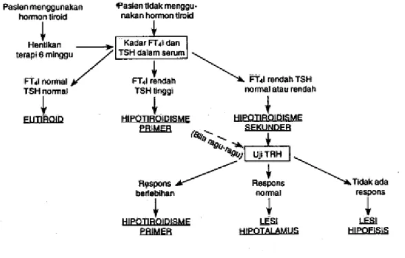 Gambar Diagnosis hipotiroidisme. Tiroksin bebas (FT4) maupun indeks tiroksin bebas (FT4I) dapat bersama TSH  untuk penilaian 
