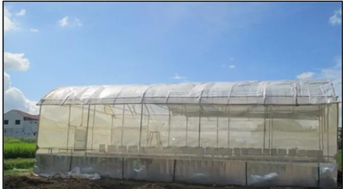 Gambar 3 Sistem Irigasi Tetes dalam Greenhouse 