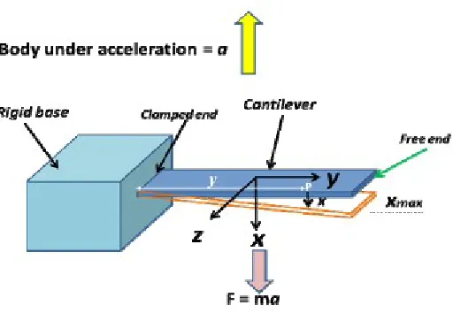 Fig. 1. A Cantilever system under uniform acceleration.