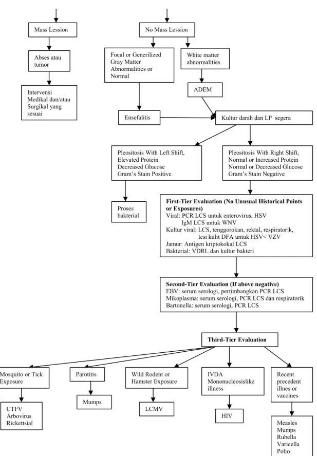 Gambar 2. Algoritma Manajemen Pasien Dengan Dugaan Infeksi SSP