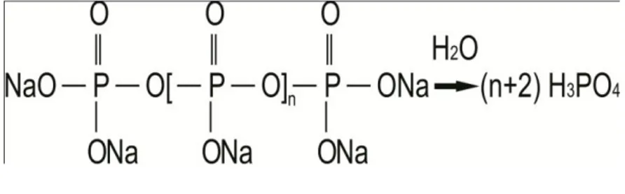 Gambar 3. Reaksi hidrolisis polifosfat   (Al-Deffeeri, 2006) 