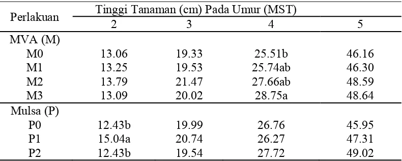 Tabel 1. Rataan tinggi tanaman (cm) pada perlakuan pengaruh  mikoriza vesikula arbuskula (MVA) dan penggunaan mulsa 2 – 5 MST