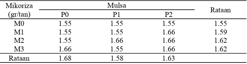 Tabel 2. Rataan jumlah cabang primer (cabang) pada perlakuan pengaruh   mikoriza vesikula arbuskula (MVA) dan penggunaan mulsa