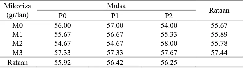 Tabel 3. Rataan umur berbunga (hari) pada perlakuan pengaruh  mikoriza vesikula arbuskula (MVA) dan penggunaan mulsa  