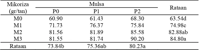 Tabel 5. Rataan bobot biji perplot (g) pada perlakuan pengaruh  mikoriza vesikula arbuskula (MVA) dan penggunaan mulsa  
