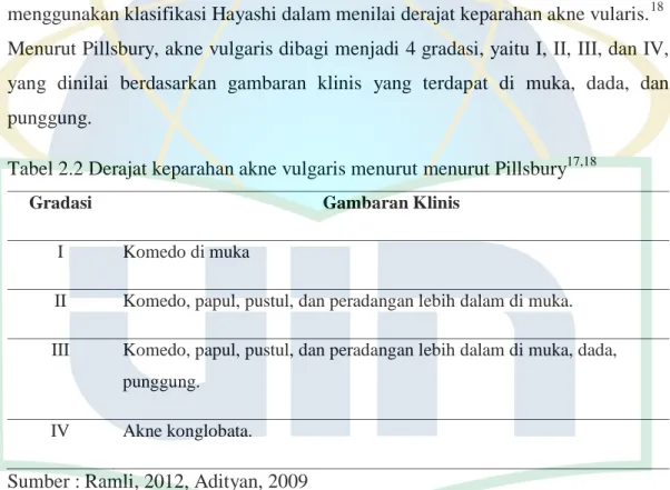 Tabel 2.2 Derajat keparahan akne vulgaris menurut menurut Pillsbury 17,18 