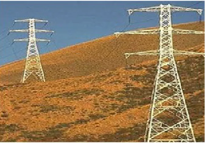 Gambar 1. Menara transmisi listrik