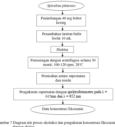 Gambar 7 Diagram alir proses ekstraksi dan pengukuran konsentrasi fikosianin 
