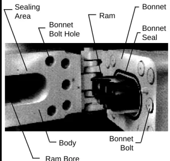 Figure 3-3.  Ram BOP With Bonnet Open.