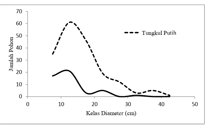 Figure 1.Curve of diameter distribution of tengkawang tungkul putih (  S