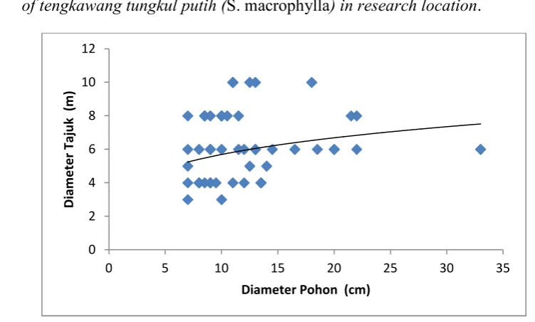 Figure 4.Regression model of the correlation between crown diameter and stem diameter (dbh)ÎÌÍãÌÑ ÌÎàá Î Ø