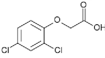 Gambar 2.9 Struktur bangun asam 2,4-diklorofenoksiasetat (Salisbury &amp; Ross, 