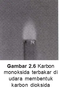Gambar 2.6 Karbon