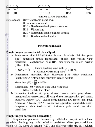 Gambar 1. Alur Penelitian 