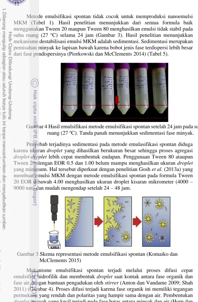 Gambar 3 Skema representasi metode emulsifikasi spontan (Komaiko dan  McClements 2015) 