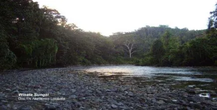 Gambar 2. Salah satu sungai di DAS Tayawi