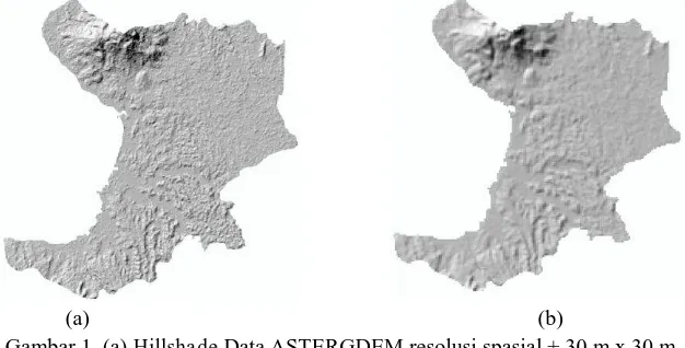 Gambar 2.(a) Tampilan 3 Dimensi Data ASTERGDEM     (b) Tampilan 3 Dimensi Data SRTM