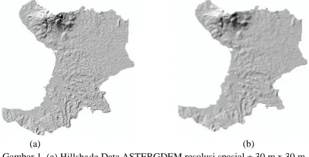 Gambar 2.(a) Tampilan 3 Dimensi Data ASTERGDEM     (b) Tampilan 3 Dimensi Data SRTM