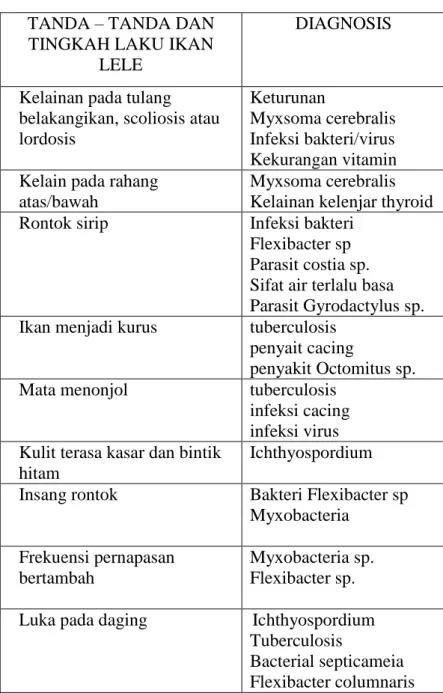 Tabel 2 Tabel data Penyakit ikan Lele  TANDA – TANDA DAN 