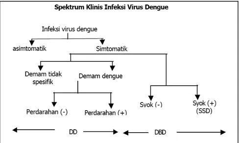 Gambar 1.6 Manifestasi Klinis Infeksi Virus Dengue (Trihadi, 2012)
