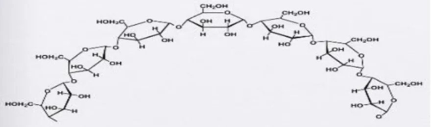 Gambar 8 Struktur Amilosa (Lehninger 1982)