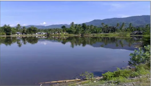 Gambar 3.4. Ekosistem akuatik dan terestrial di Danau Perintis Gorontalo, 2007 