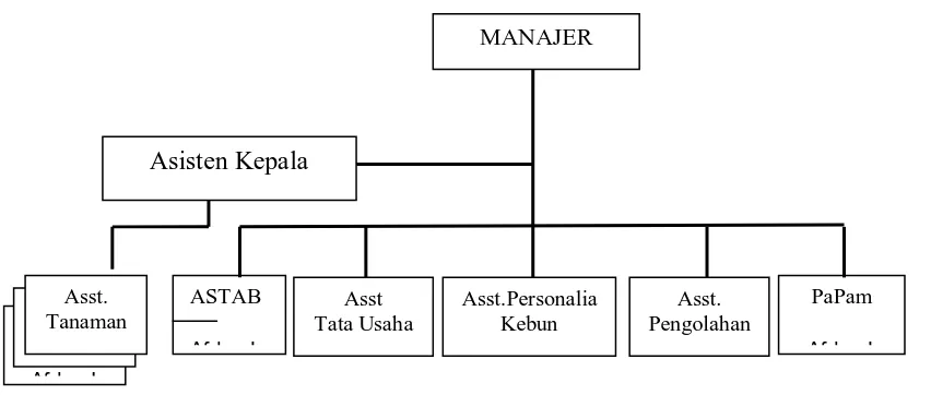 Gambar 4.1 Struktur Organisasi PTPN III Sarang Giting 