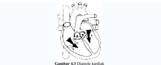 Gambar 4.3 Diastole kardiak