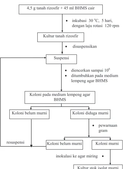 Gambar 3.1. Bagan alir isolasi dan pemurnian(18), (22), (26)