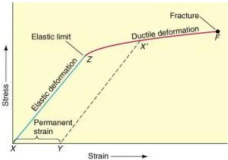 Gambar  2.  Kurva  stress-strain  memperlihatkan  deformasi  elastik  (X  ke  Z)  limit  elastis  (Z)  menandai  dimulainya  deformasi  ductile