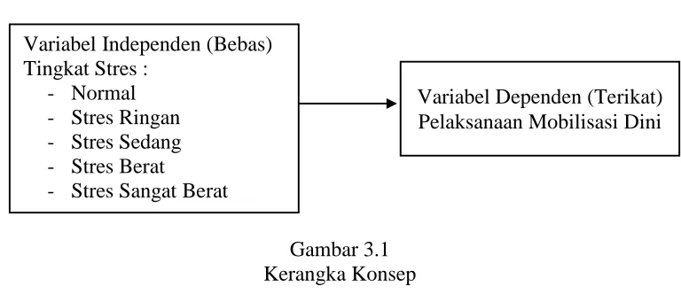 Gambar 3.1  Kerangka Konsep 