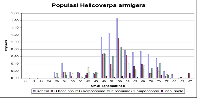 Gambar 1. Fluktuasi Populasi Hama H. armigera Di Pertanaman Tomat