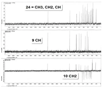 Gambar 1. Spektrum 13C-NMR senyawa triterpenoid