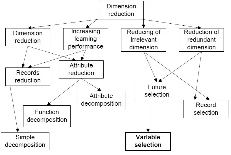 Figure 1: Taxonomy of dimension reduction problem