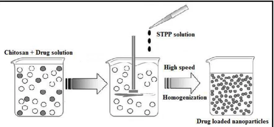 Gambar 8. Skema metode ionic gelation (Yadav, et al., 2012). 