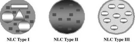 Gambar 2. Tipe dasar dari NLC (Thassu, et all., 2007) 