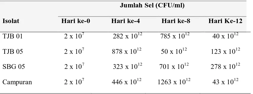 Tabel 4.1.1 Pertumbuhan Sel Isolat Bakteri Penghasil Biosurfaktan Dalam   Mendegradasi Solar (CFU/ml)