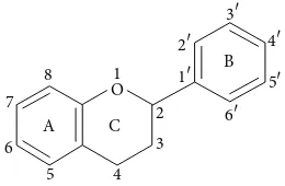 Figure 1: Basic flavonoid structure.