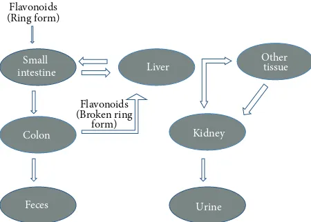 Figure 2: Structure of (a) flavonoid glycoside and (b) aglycone flavonoid.