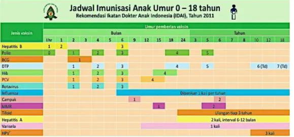 Gambar 9. Jadwal Imunisasi Anak Rekomendasi IDAI, tahun 2011 