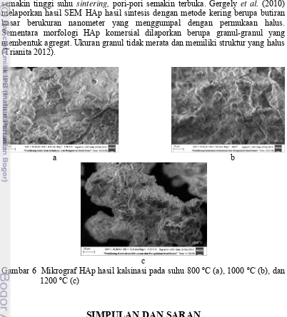 Gambar 6  Mikrograf HAp hasil kalsinasi pada suhu 800 ºC (a), 1000 ºC (b), dan 