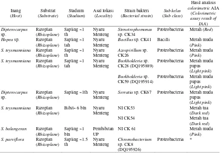 Tabel (Table) 1. Informasi bakteri PGPR penghasil fitohormon yang digunakan sebagai inokulum (PGPR used for inoculation and their information)  