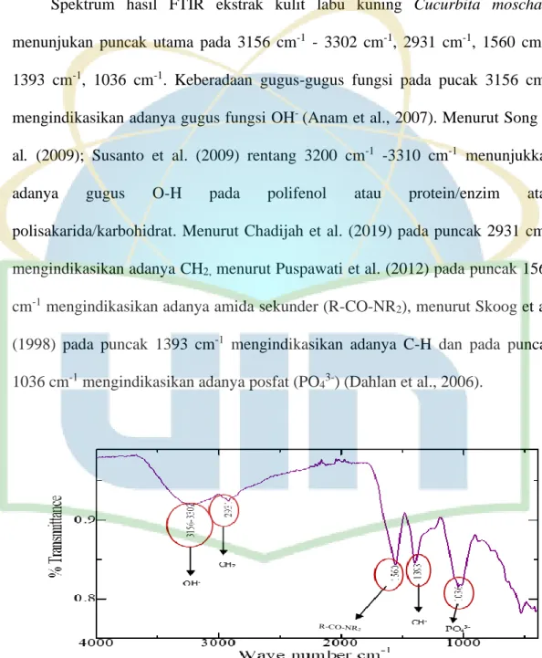 Gambar 9. Data hasil FTIR ekstrak kulit labu kuning 