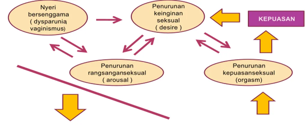 Gambar 2.2 :  Siklus Disfungsi Seksual Pada Wanita.  20 