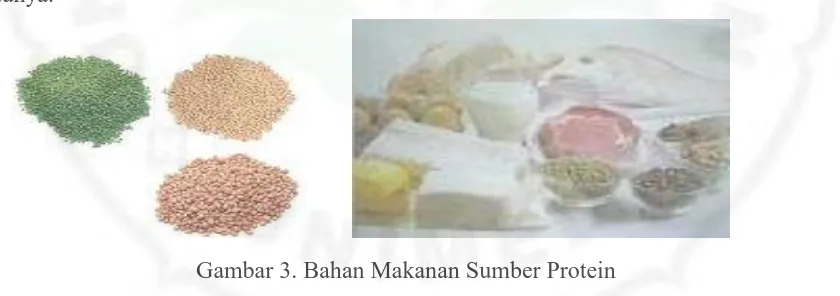 Gambar 3. Bahan Makanan Sumber Protein 
