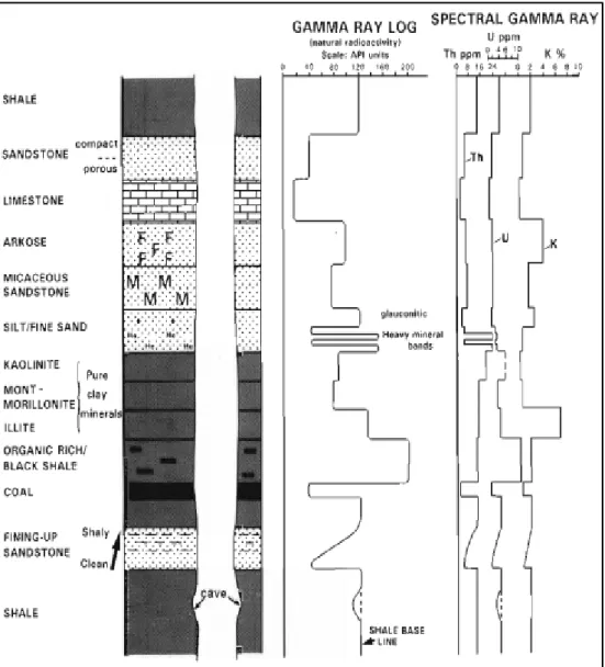 Gambar 2.6 Respon log gamma ray terhadap jenis litologi (Rider, 1996). Pada lapisan batupasir  unsur radioaktif cenderung rendah sehingga akan defleksi ke kiri