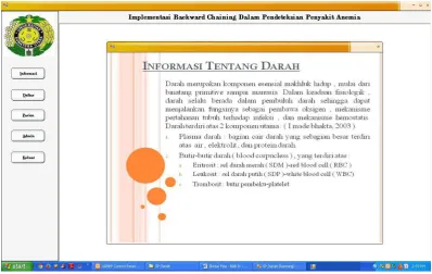 Gambar 4.1 Tampilan Form Informasi 