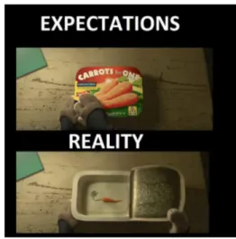 Gambar 2: Ekspektasi makanan yang berbeda dengan realita.
